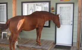 Please may I come in?