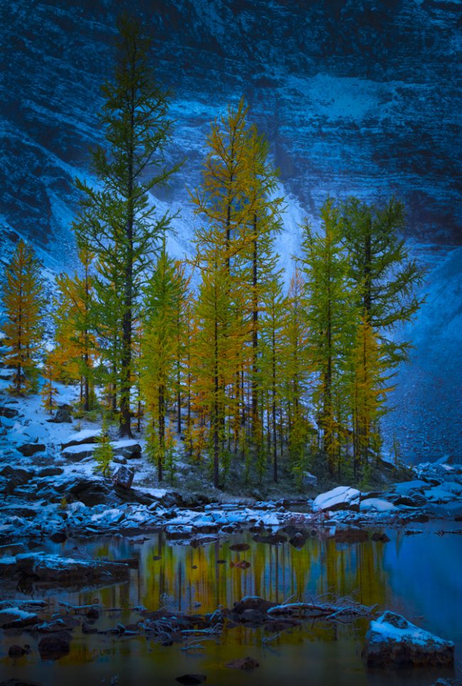 Larch Valley - Looming Clouds