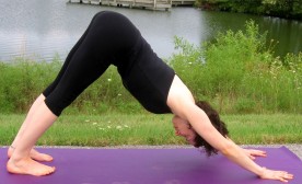Downward Dog or Down Dog