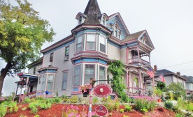 The Lion and the Rose