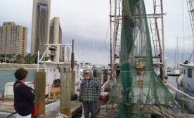 Shrimp Boats and Corpus Christi Skyline